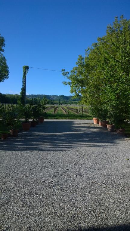 La Vigna Dei Peri Villa Quattro Castella Kültér fotó